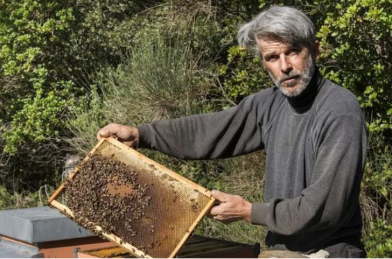 Beekeeper